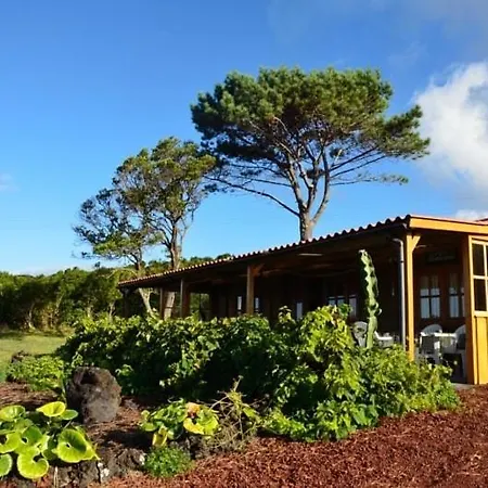The Wooden House - 5 Guests, Bbq São Mateus